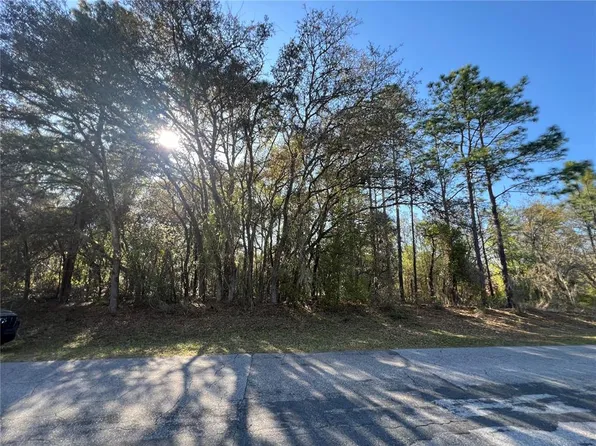 3968 N Indianhead Rd Lot 35, Hernando, FL 34442