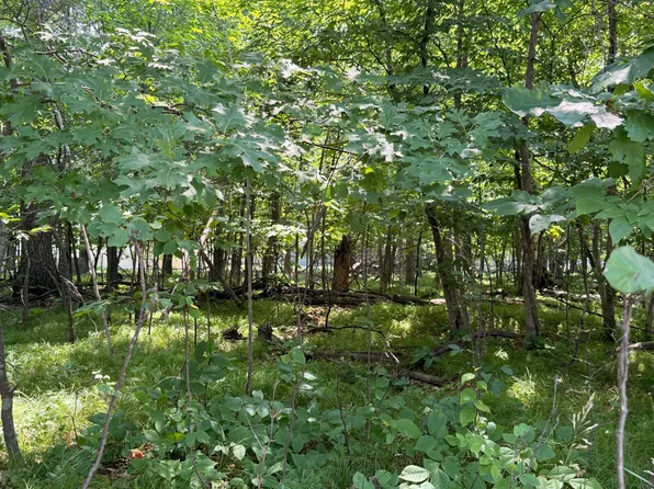 Breezy Point Blvd, Pequot Lakes, MN 56472