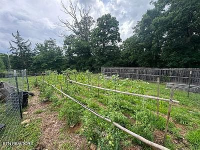 4th image of 2320 Tennessee #92