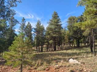 4556 Starlight Dr, Happy Jack, AZ 86024