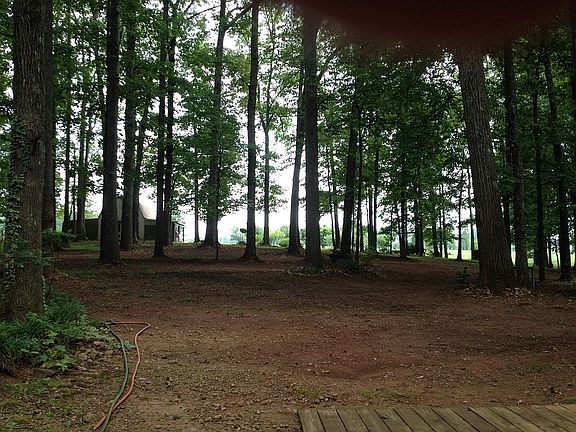 Small barn and fruit trees
