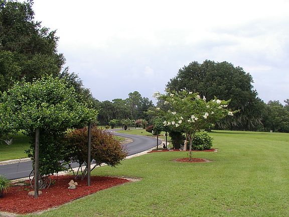 Sprinklers to topiary