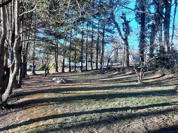 View of front yard from house