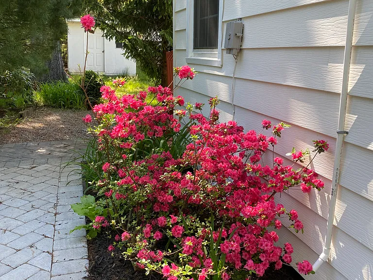 28 Aspen Rd — Photo 27