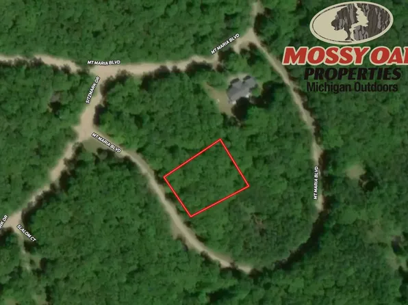 0 Mount Maria Blvd, Spruce, MI 48762