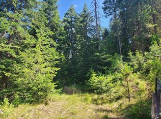 Forgotten 400 Rd, Elk City, ID 83525