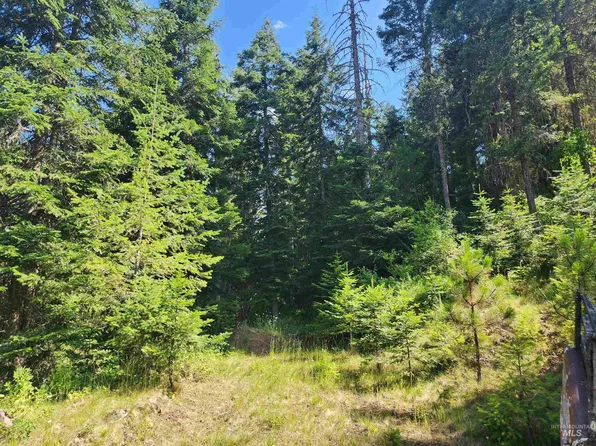 Forgotten 400 Rd, Elk City, ID 83525