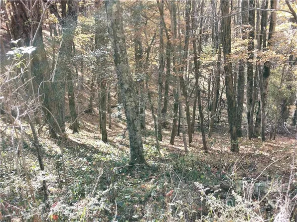 Lots 480 & 481 El Miner Dr, Mars Hill, NC 28754