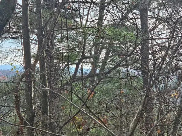 158 Roaring Forks Ln, Ellijay, GA 30540