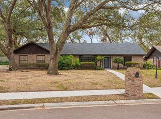 705 Hidden Lake Dr, Brandon, FL 33511