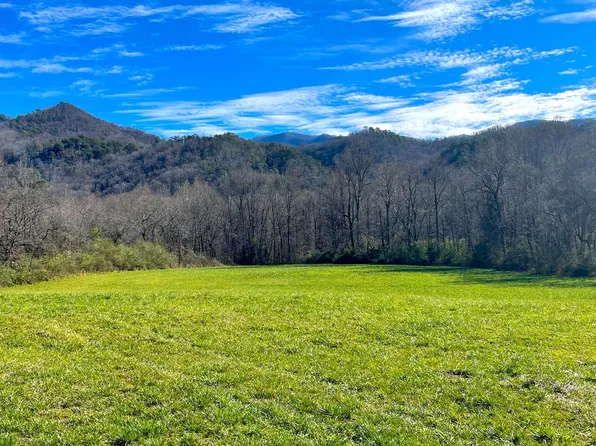 145 Worm Creek Dr, Andrews, NC 28901