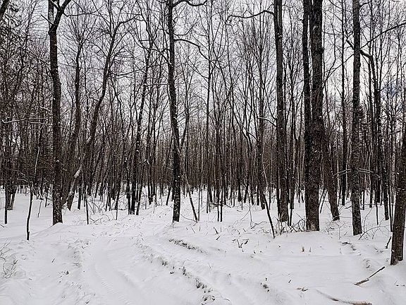 3rd image of 1 Log Lodge Rd