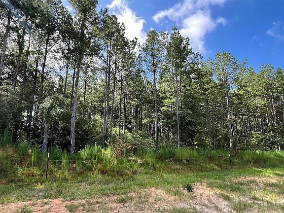 5th image of 15422 Forest Grove Dr Lot 50