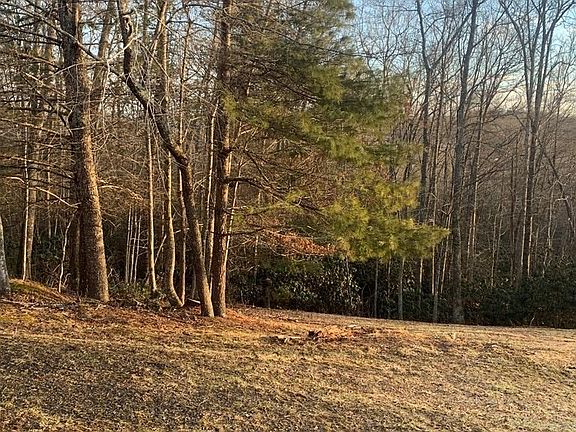 2nd image of 57 Forest Spur Ln