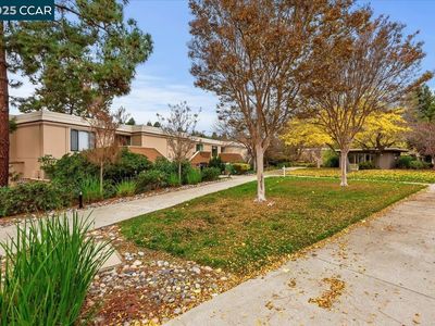 1857 Golden Rain Rd APT 2, Walnut Creek, CA, 94595
