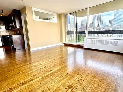 1360 N Sandburg Ter #1111C Photo 1