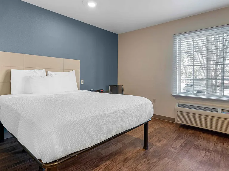 Studio Suite - 1 Queen Bed