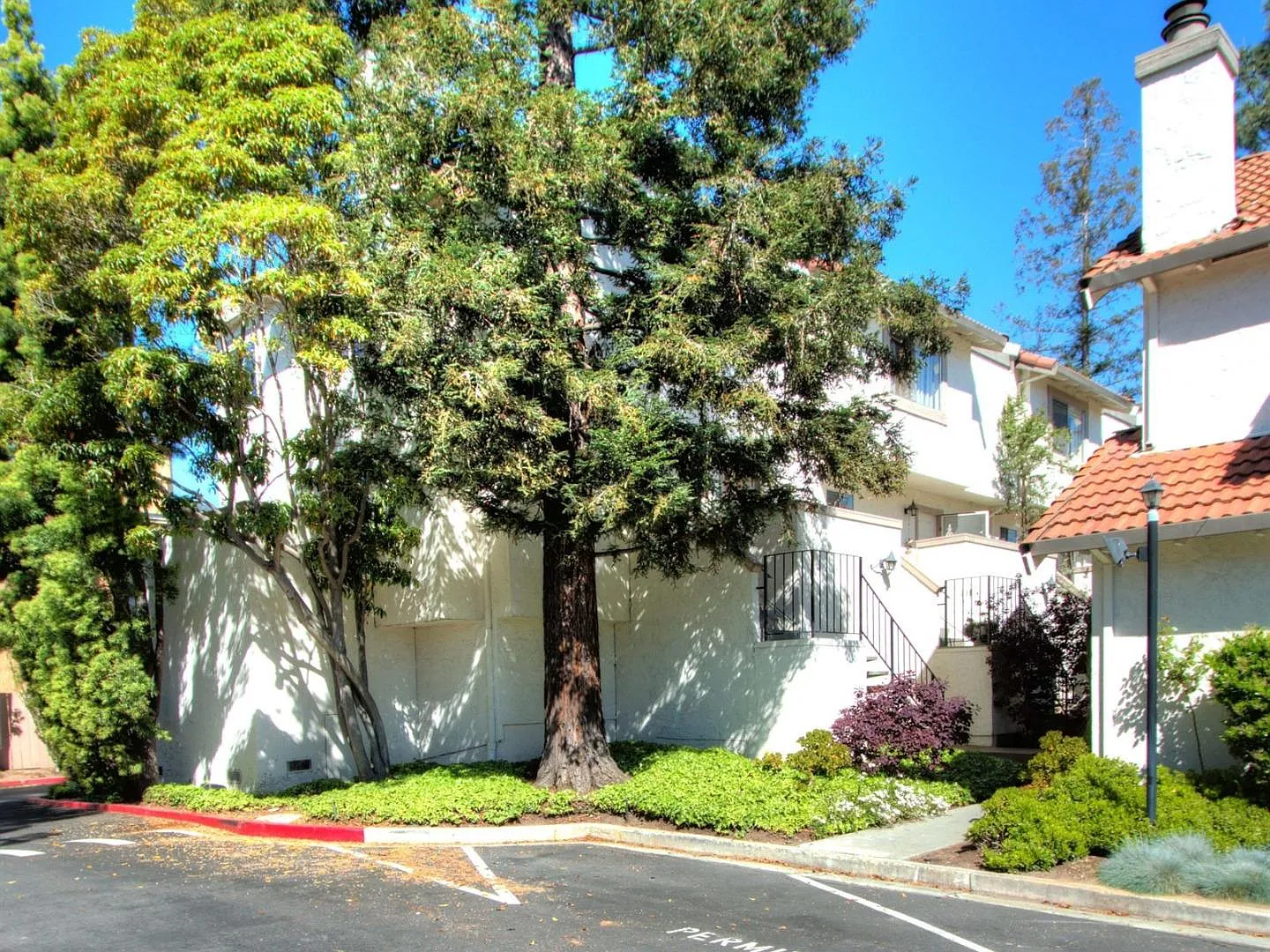 1203 Capri Dr photo 1