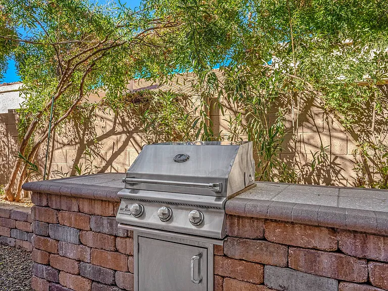 Propane BBQ grill