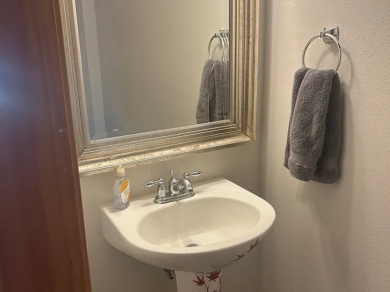 Downstairs half bath