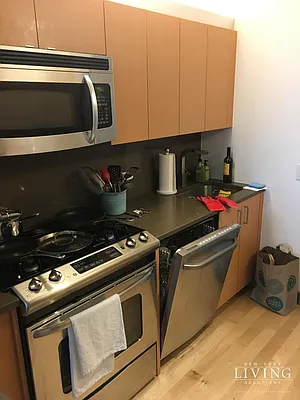 Rented by NY Living Solutions | media 28