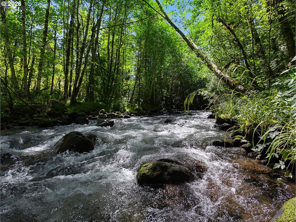 46th image of this home