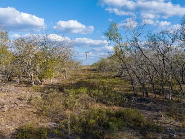 0 County Road 386, Waelder, TX 78959