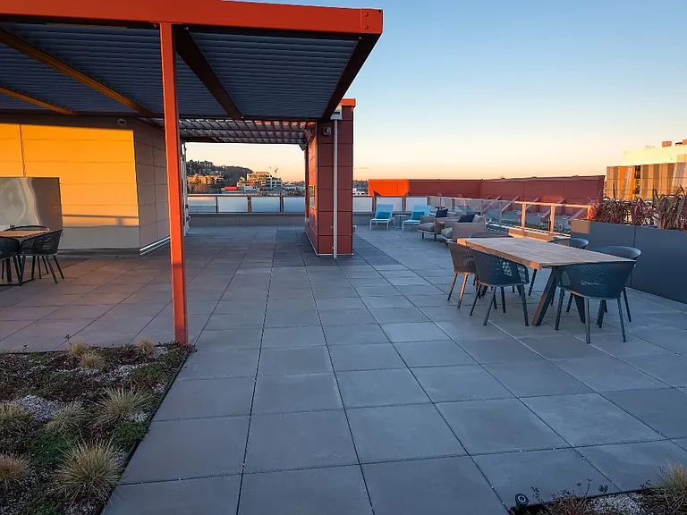 Outdoor grilling with lush backdrop