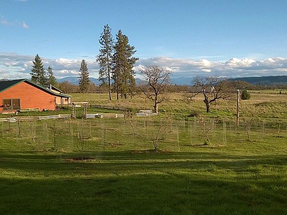 View of family orchard