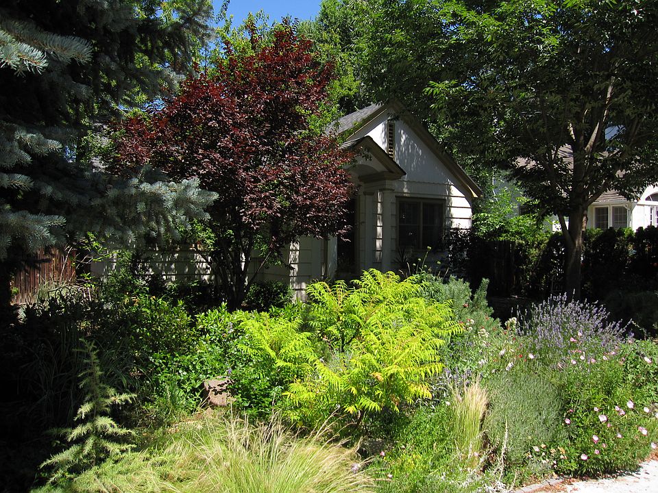 Front yard