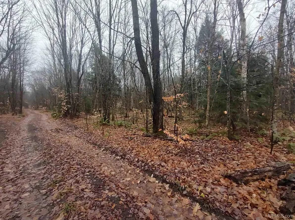 Beechwood Rd, Newberry, MI 49868