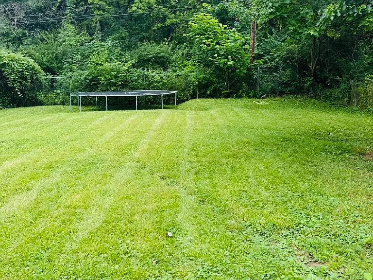 Back yard/patio
