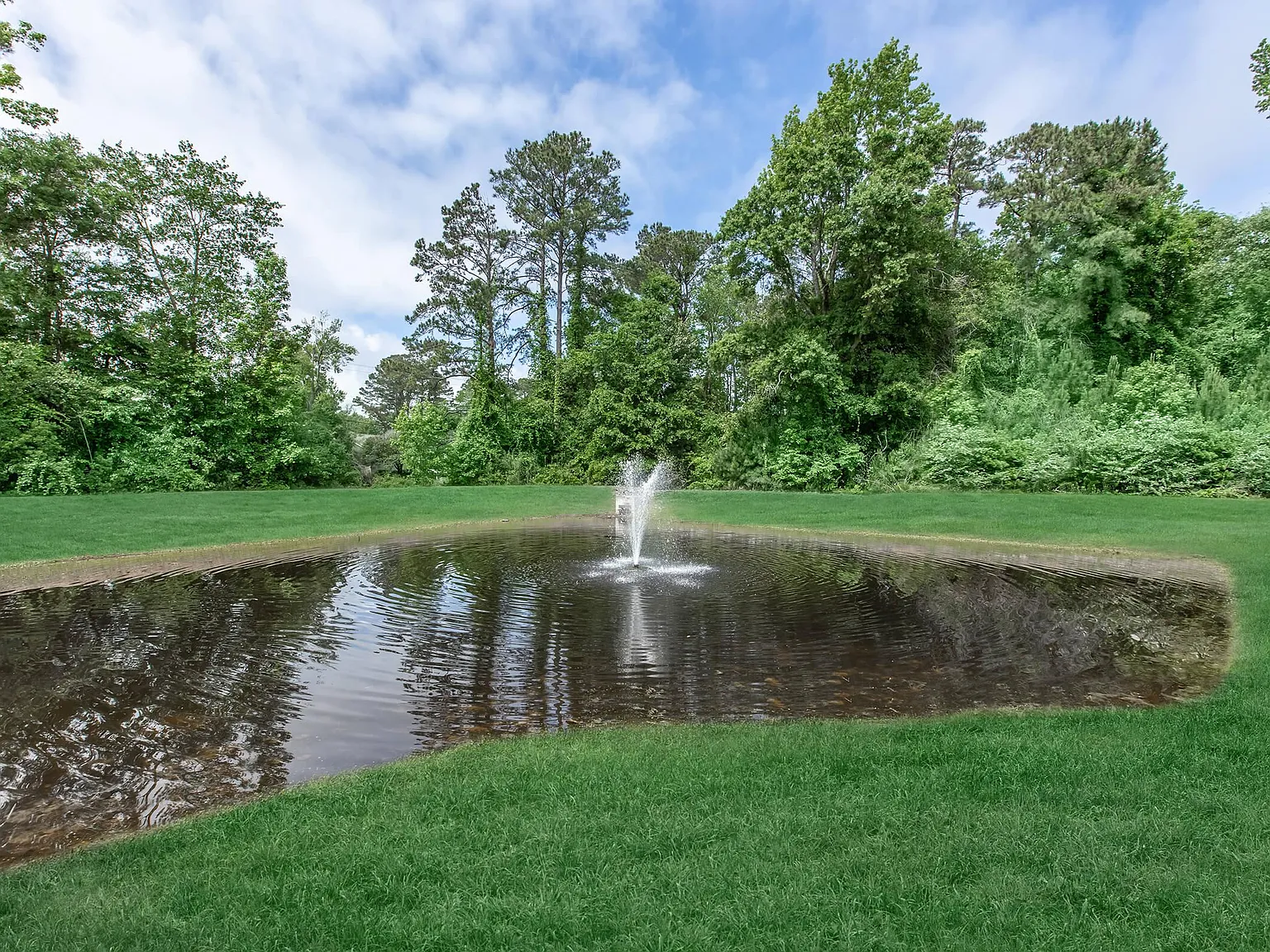 Arbor Trace — Photo 4