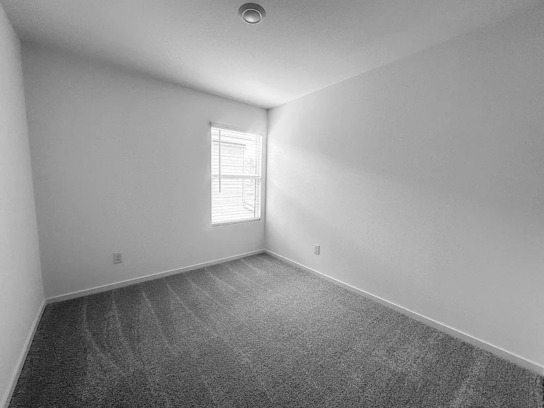 803 Sandhill Crane Ln — Photo 25