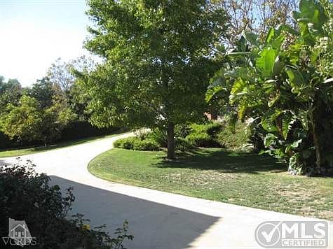 Beautiful trees and vegetation add to the privacy of the front yard