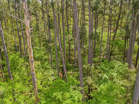 5th image of 1723 Pineview Ln
