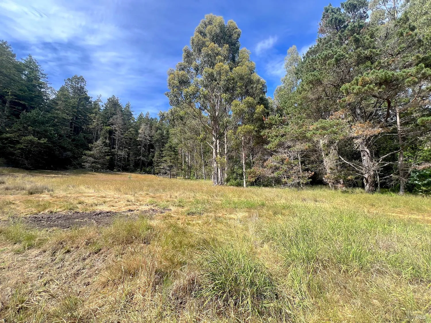 23285 Highway 1 - Photo 10