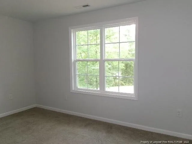 15 Parkview Ln — Photo 19