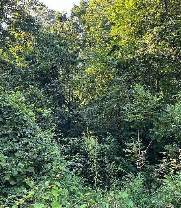 1st image of Ville Summit Dr