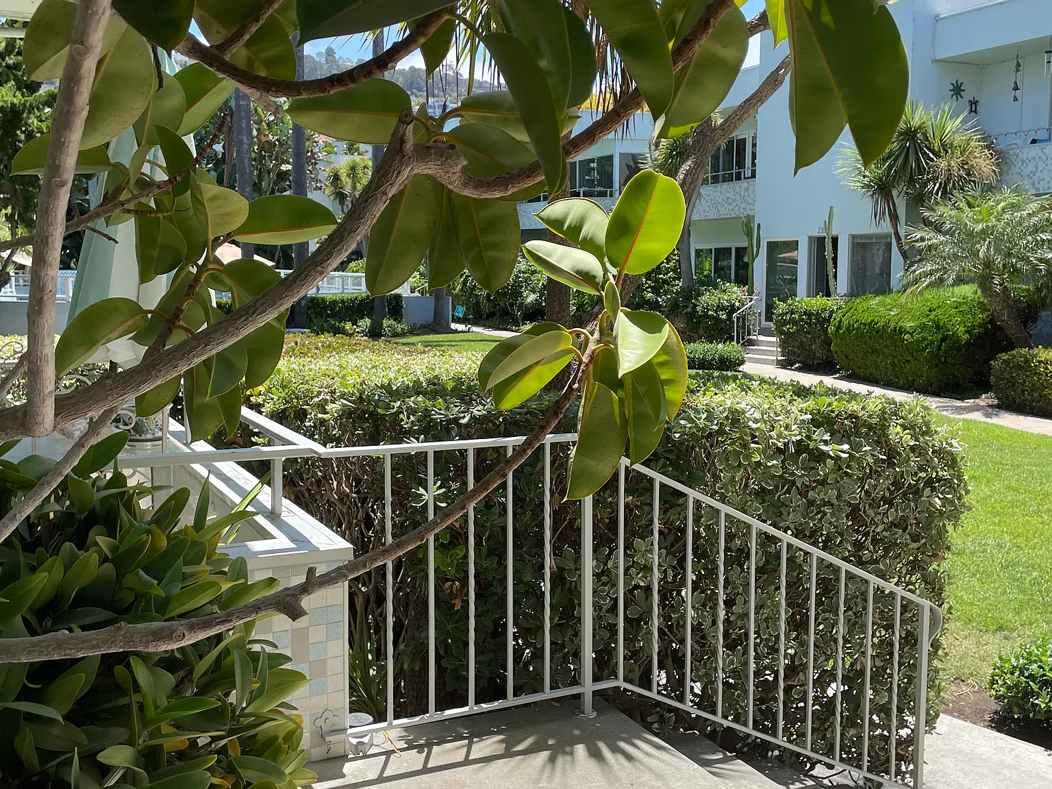 1 bed, 1399 sqft, $1,900 — Photo 4