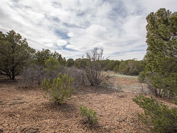 4th image of 63 Nature Pointe Dr