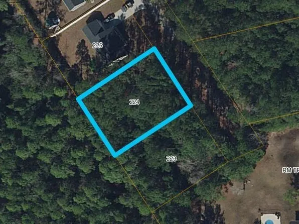 224 Violet Way, Loris, SC 29569