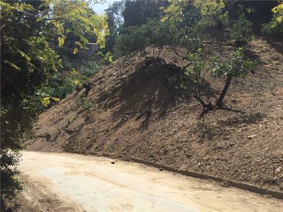 635 Pheasant Dr #339, Los Angeles, CA, 90065