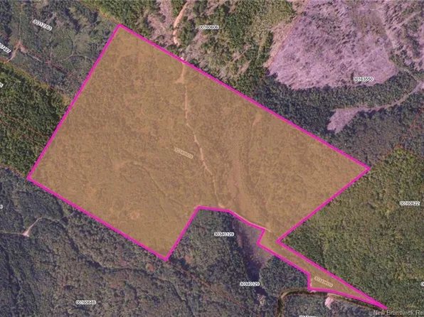 LOT Backland Rd, Kingston, NB E5N 1E2