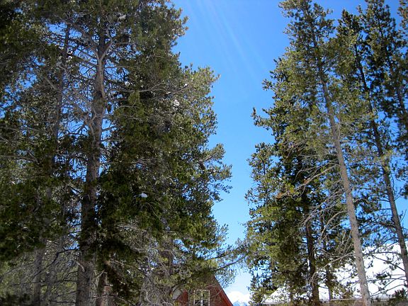 4th image of 84 Imogene Cir