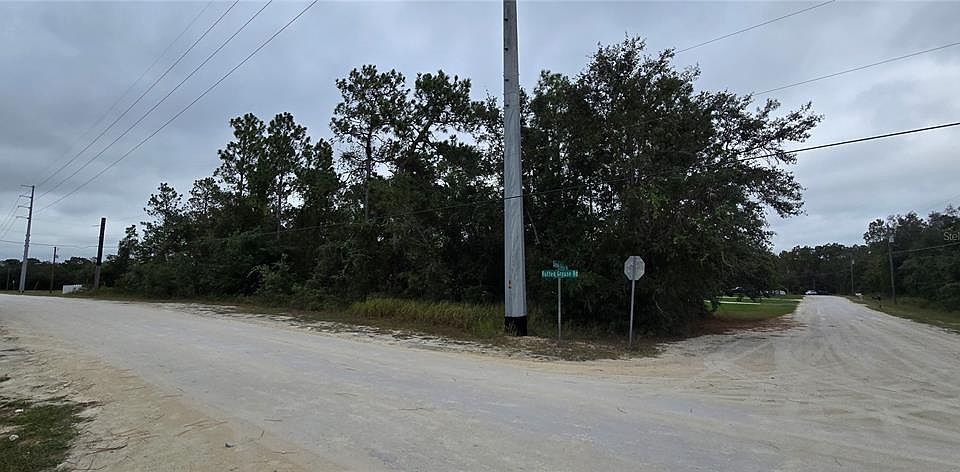 2nd image of 13476 Canada Goose Rd Lot 1