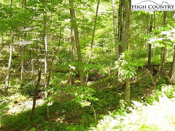 3rd image of Pine Knoll Dr