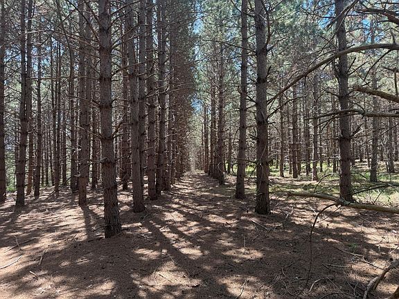 2nd image of Sleepy Hollow Rd #C