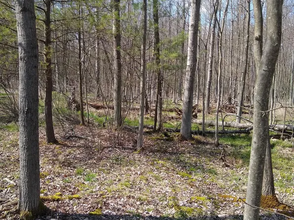 0 Clover St, Philipsburg, PA 16866