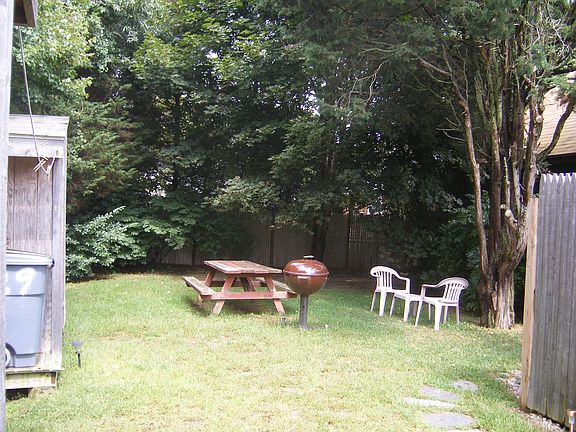 Back yard